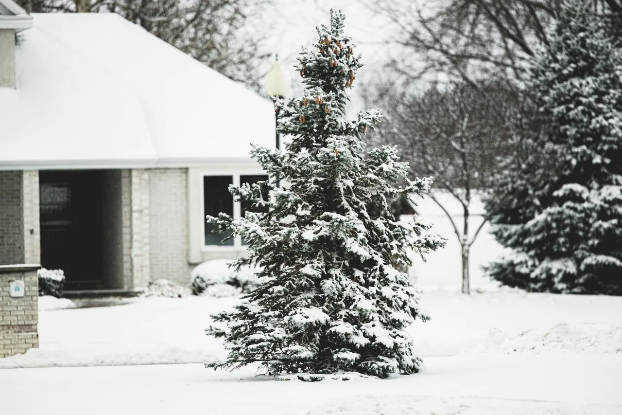 Furnace Install Costs Guide: Pricing, Labor, and What Affects Your Total